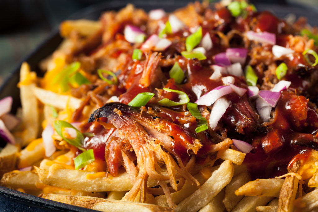 loaded carnitas fries